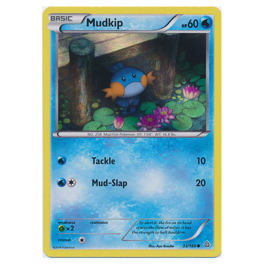 Pokemon - XY - Primal Clash - Mudkip Promo