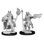 Dungeons & Dragons - Nolzur's Marvelous Miniatures - Multiclass Cleric & Wizard Male