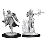 Dungeons & Dragons - Nolzur's Marvelous Miniatures - Multiclass Warlock & Sorcerer Female