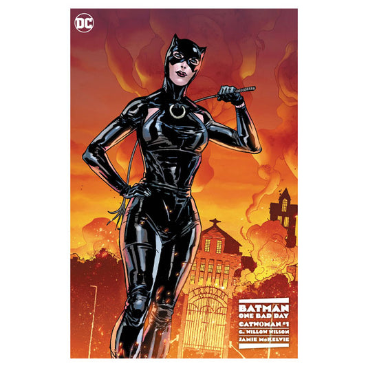 Batman One Bad Day Catwoman - Issue 1 (One Shot) Cover F Premium