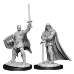Dungeons & Dragons - Nolzur's Marvelous Miniatures - Human Paladin  Male