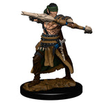 Pathfinder Battles - Premium Painted Figure - Half-Elf Ranger Male