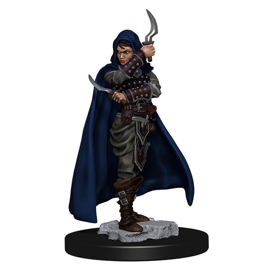 Pathfinder Battles - Premium Painted Figure - Human Rogue Female