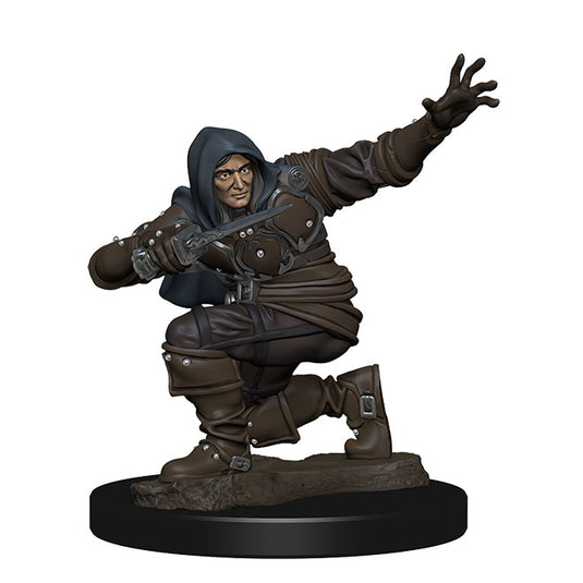 Pathfinder Battles - Premium Painted Figure - Human Rogue Male