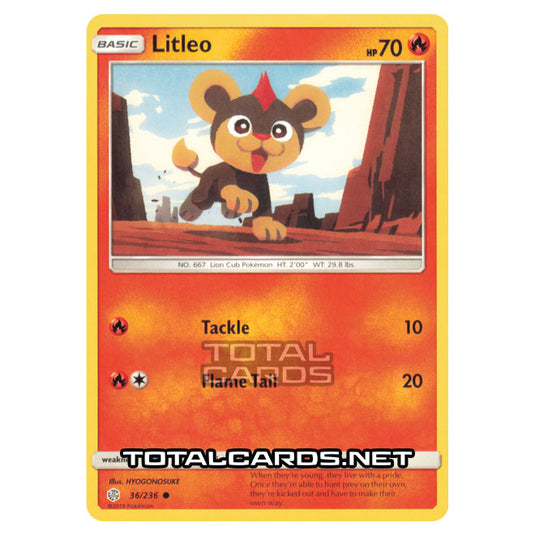 Pokemon - Sun & Moon - Cosmic Eclipse - Litleo - 36/236