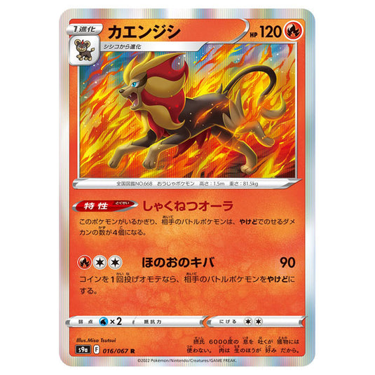 Pokemon - Sword & Shield - Battle Region - Pyroar - 016/067 (Japanese)