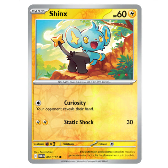 Pokemon - Scarlet & Violet - Twilight Masquerade - Shinx - 066/167 - (Reverse Holo)