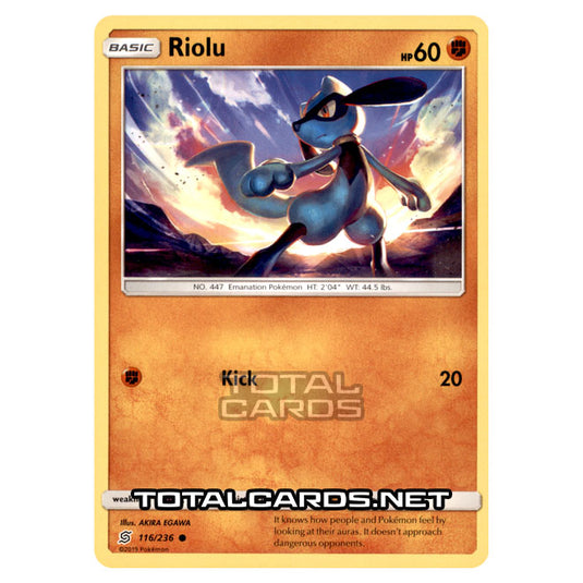 Pokemon - Sun & Moon - Unified Minds - Riolu - 116/236