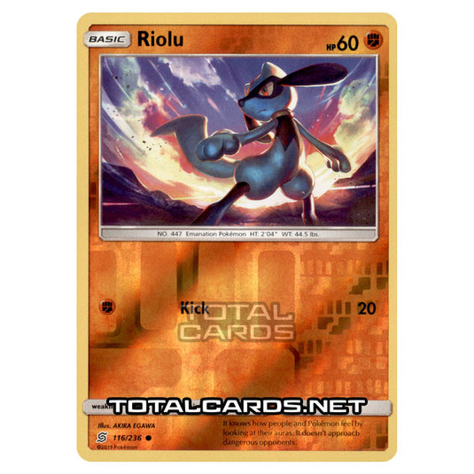 Pokemon - Sun & Moon - Unified Minds - Riolu - 116/236 - (Reverse Holo)