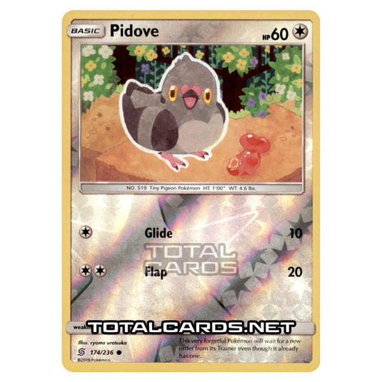 Pokemon - Sun & Moon - Unified Minds - Pidove - 174/236 - (Reverse Holo)