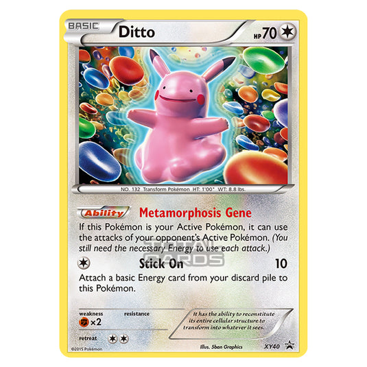 Pokemon - XY - XY Black Star Promos - Ditto - XY40