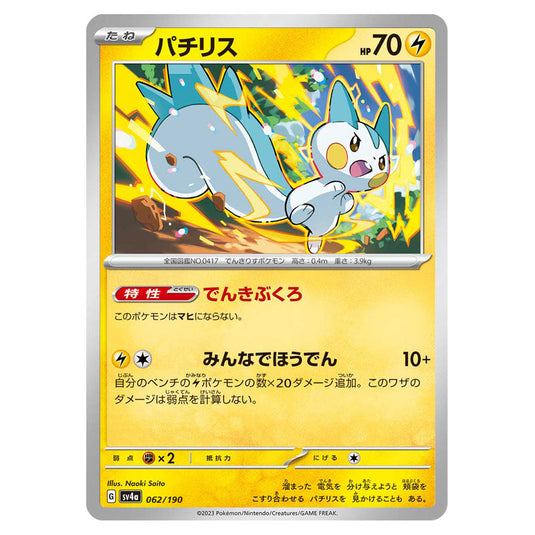Pachirisu 062 card from the Pokemon set Shiny Treasure ex
