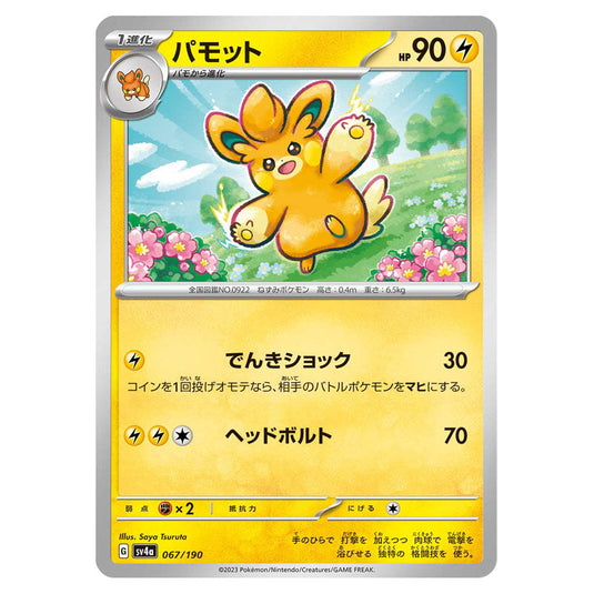 Pawmo 067 card from the Pokemon set Shiny Treasure ex