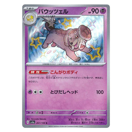 Dachsbun 267 card from the Pokemon set Shiny Treasure ex