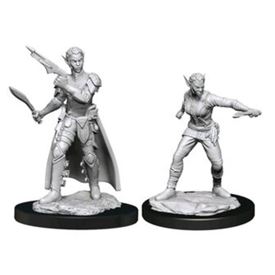 Dungeons & Dragons - Nolzur's Marvelous Miniatures - Shifter Rogue Female