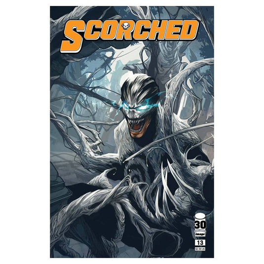 Spawn Scorched - Issue 13 Cover B Aguillo