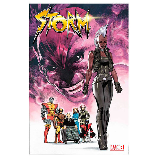 Storm - Issue 4 (Of 5)