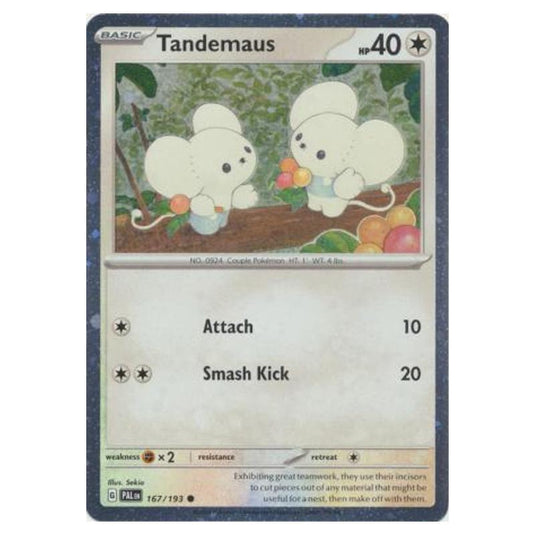 Pokemon - Scarlet & Violet - Paldea Evolved - Tandemaus (Cosmo Holo) - 167/193