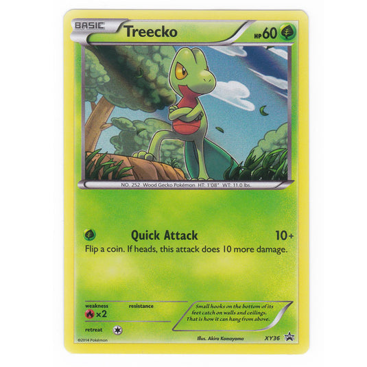 Pokemon - XY - XY Black Star Promos - Treecko