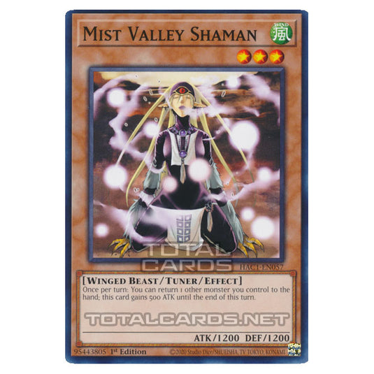 Yu-Gi-Oh! - Hidden Arsenal - Chapter 1 - Mist Valley Shaman (Common) HAC1-EN057