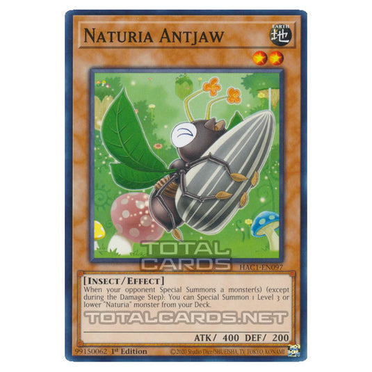 Yu-Gi-Oh! - Hidden Arsenal - Chapter 1 - Naturia Antjaw (Common) HAC1-EN097