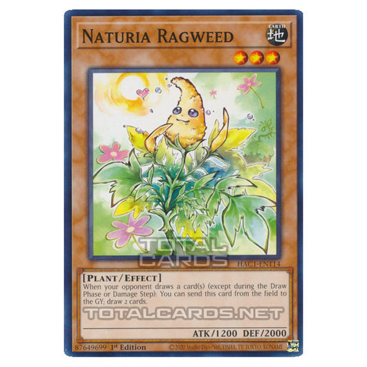 Yu-Gi-Oh! - Hidden Arsenal - Chapter 1 - Naturia Ragweed (Normal Parallel Rare) HAC1-EN114A