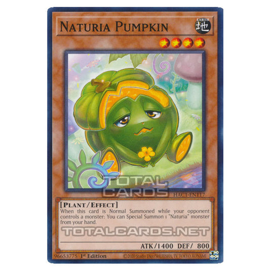 Yu-Gi-Oh! - Hidden Arsenal - Chapter 1 - Naturia Pumpkin (Common) HAC1-EN117