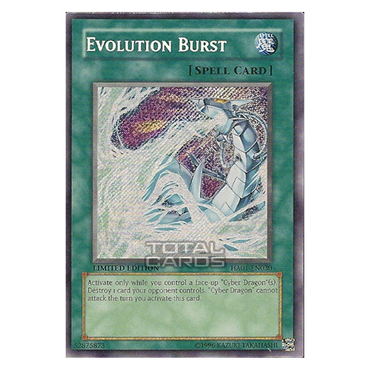 Yu-Gi-Oh! - Hidden Arsenal - Evolution Burst (Secret Rare) HA01-EN030