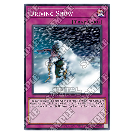 Yu-Gi-Oh! - Pharaohs Servant - 25th Anniversary Reprint  - Driving Snow (Common) PSV-25-EN018