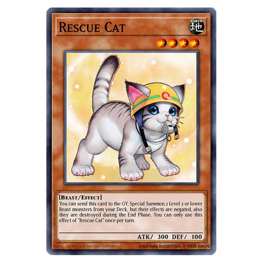 Rescue Cat (Alternate Art) RA02-EN001a card from the Yu-Gi-Oh! set 25th Anniversary Rarity Collection II