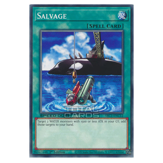 Yu-Gi-Oh! - Speed Duel: Streets of Battle City - Salvage (Common) SBC1-ENC12