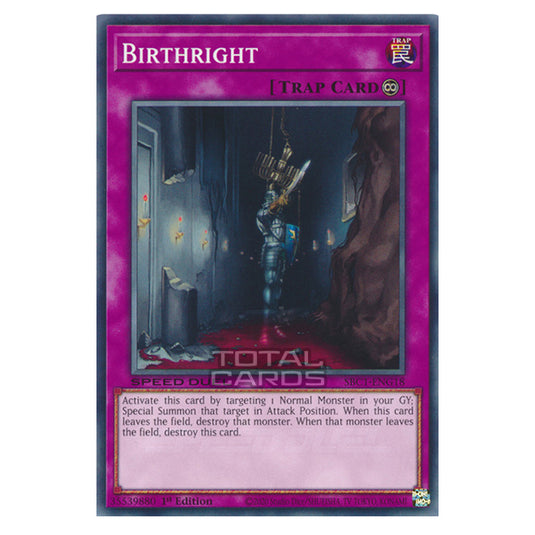 Yu-Gi-Oh! - Speed Duel: Streets of Battle City - Birthright (Common) SBC1-ENG18