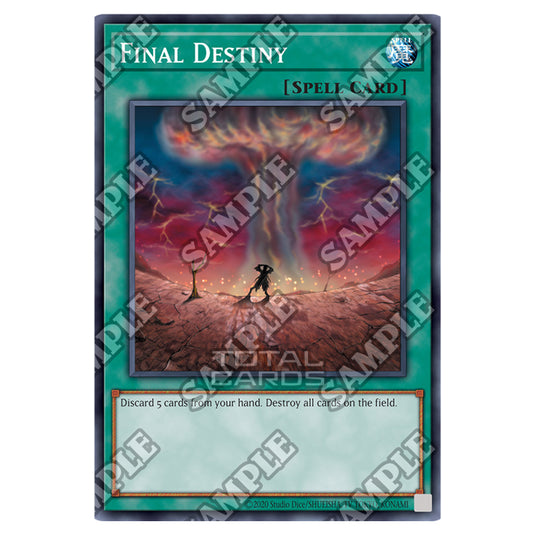 Yu-Gi-Oh! - Spell Ruler - 25th Anniversary Reprint - Final Destiny (Common) SRL-25-EN035